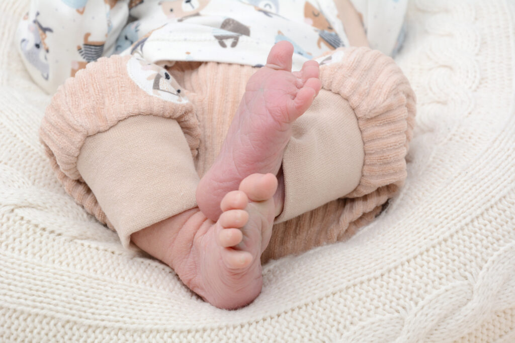 401_KN167_03563650_Bild